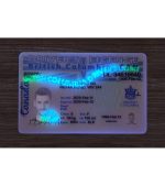 British Columbia Driver’s Licence (2025 Version) - Image 3