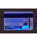 British Columbia Driver’s Licence (2025 Version) - Image 5