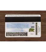 British Columbia Driver’s Licence (2025 Version) - Image 4