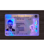 New York ID (2025 Version) - Image 2