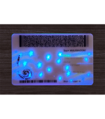 New York ID (2025 Version) - Image 4