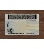 New York ID (2025 Version) - Image 3