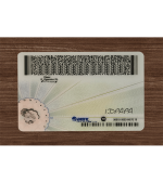 Virginia ID(2025 Version) - Image 2
