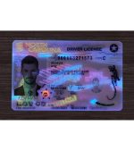 North Carolina ID (2025 Version) - Image 4