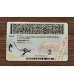 North Carolina ID (2025 Version) - Image 3