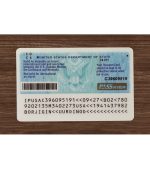 America Passport Card - Image 5