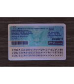 America Passport Card - Image 3