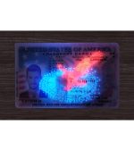 America Passport Card - Image 4