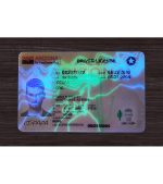 Arizona Driver’s Licence (2025 Version) - Image 4