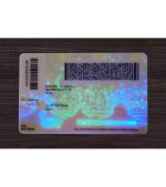 Arizona Driver’s Licence (2025 Version) - Image 2