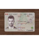 Canadian PR (2025 Version) - Image 2