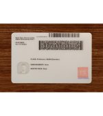 Tennessee Driver’s Licence (2025 Version) - Image 4
