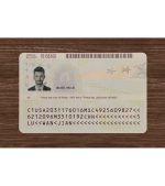 American Green Card - Image 3