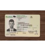 Manitoba Driver’s Licence (2026 Version) - Image 2
