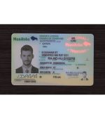 Manitoba Driver’s Licence (2026 Version) - Image 3