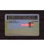 Manitoba Driver’s Licence (2026 Version) - Image 5