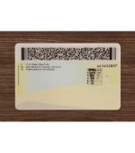 Manitoba Driver’s Licence (2026 Version) - Image 4